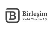 birlesim